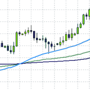 Binary options: Newcomer kit
