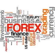 Trading Forex for a Living
