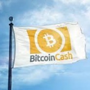 Bitcoin Cash (BCH) Review – peer-to-peer digital cash