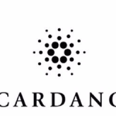 Cardano Cryptocurrency Review